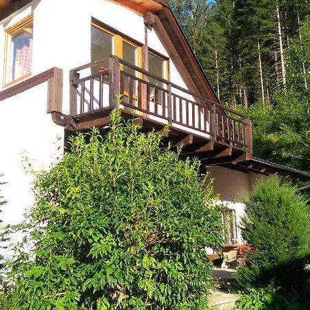 Rulfik Aparthotel Hinterberg  Exteriör bild