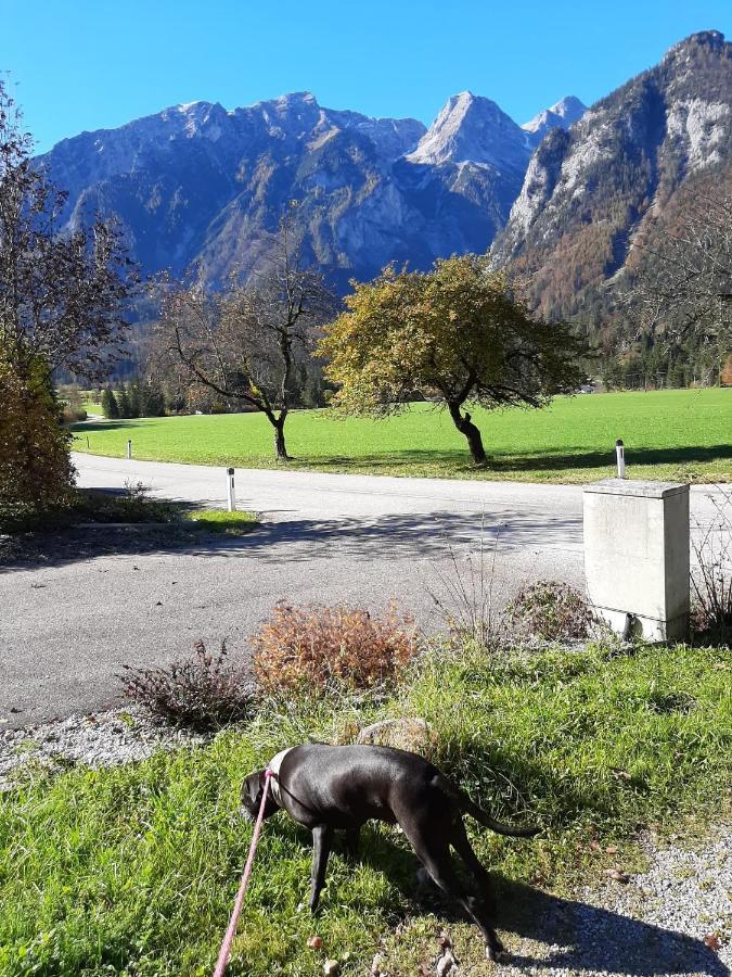 Rulfik Aparthotel Hinterberg  Exteriör bild